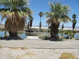 Desert Studies Center Cima Dry Lake